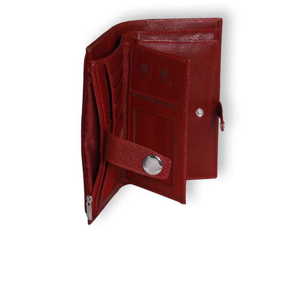 کیف پالتویی آراز (فلوتر)